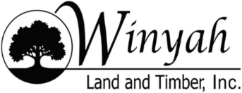 Winyah Land & Timber